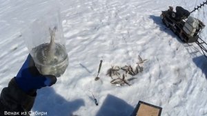 Давно у меня не было такой крутой рыбалки! (часть 1).mp4