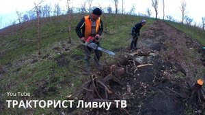 ПИЛИМ - ГРУЗИМ - ВОЗИМ?МТЗ 82 и 2ПТС 4.5?МОТОР СИЧ 270