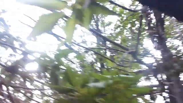 Строим шалаш в лесу! Часть 3! смотреть онлайн