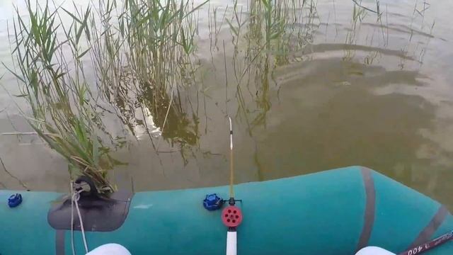 Ловля КАРАСЯ.оз.УЕЛГИ рыбалка подарила мне СЧАСТЬЕ и УДАЧУ❗ смотреть онлайн