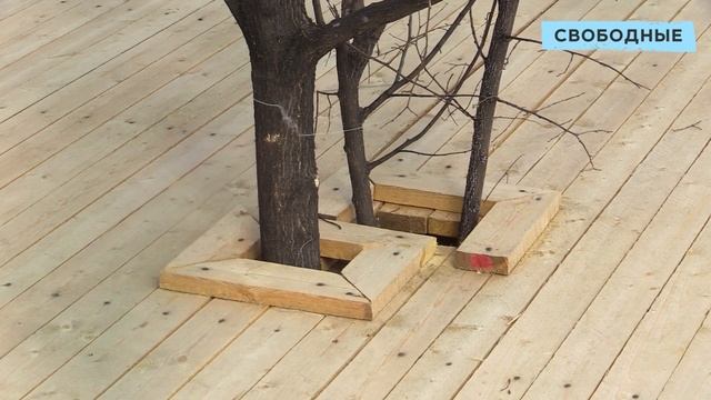 Новому парку в Солнечном-2 у пруда Семхоз не хватает базовых удобств смотреть онлайн