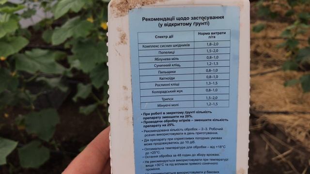 ЗАЩИТИ теплицу и огород  БИОПРЕПАРАТОМ ! Замучили тля, паутинный клещ и белокрылка ?