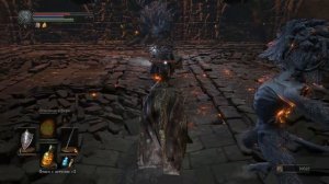 Dark Souls III - #25 ( Новая локация и кулаки демона )