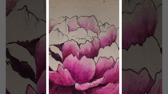 Рисуем с Ольгой Чекиной. «Пион» акварелью. смотреть онлайн