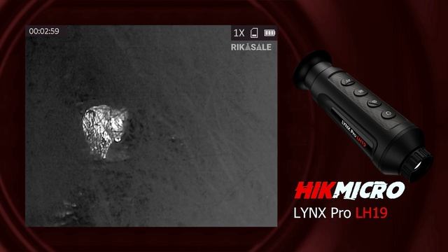 Тепловизор HIKMICRO LYNX PRO LH19, видео из леса смотреть онлайн