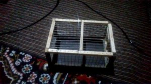 клетка для певчих птиц подсадок для диких Щеглов