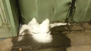 НЕОБЫЧНОЕ ПРИРОДНОЕ ЯВЛЕНИЕ. ЯВЛЕНИЕ ПРИРОДЫ.