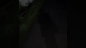 Прогулка По Аравийской пустыне