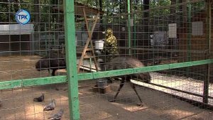 Зоопарк «Лукоморье»