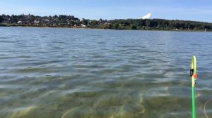 ПВХ лодка Аква  2900 + электромотор Flover 33TG. Л