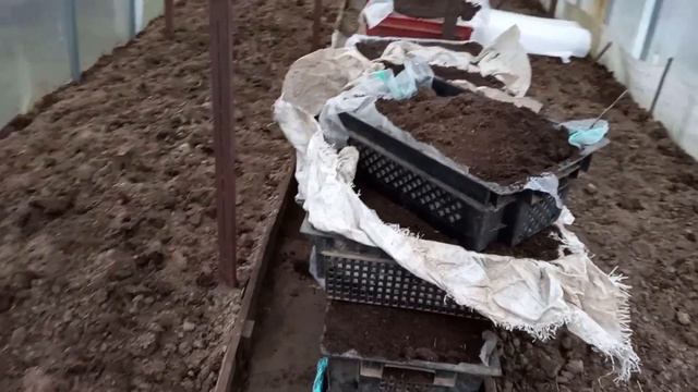 Заготавливаем грунт для рассады смотреть онлайн