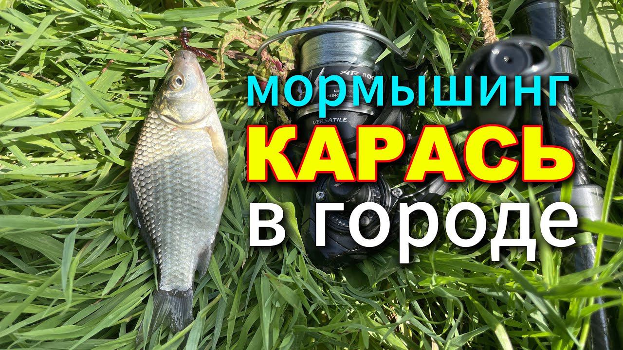 ЛОВЛЮ КАРАСЯ | Проверил новый пруд |#мормышинг #nanojig #стритфишинг #streetfishing