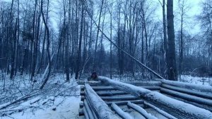 Строительство избы в лесу натаскали сушин Стелс капитан декабрь 2019