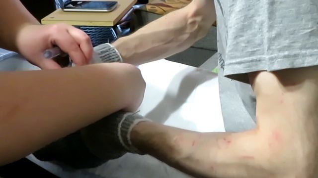 Дикая крыса поеденная хищником и вороной. ? Лечим и обрабатываем раны. Полезно знать! ?(Wild Rats)? смотреть онлайн