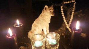 прямой эфир . «ПЕЧАТЬ ИЗГОЯ» . ИНГА ХОСРОЕВА . ВЕДЬМИНА ИЗБА ?