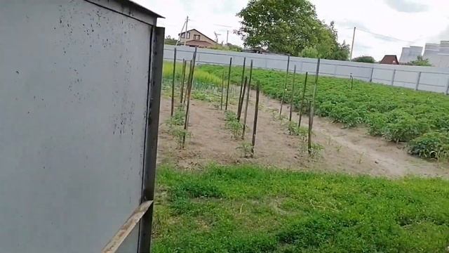 Ура, наше первое день рождение, нам 1 год?