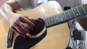 Guitar Morris MD-501