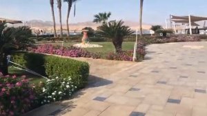 Barcelo Tiran Sharm 5* Краткий обзор отеля в Египте Шарм Эль Шейх