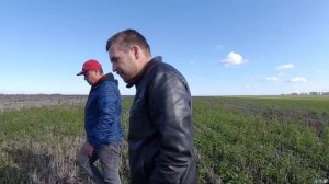 Сидераты. Эрозия Почвы. Иван Гуменюк. Агрономия. Практика