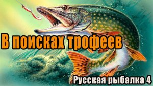 В поисках трофеев | Русская рыбалка 4