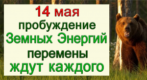 14 мая Мистический период. У каждого есть ШАНС  ИЗМЕНИТЬ судьбу.