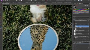 Создание простого коллажа | ускоренное видео | Affinity Photo