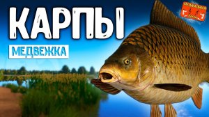 РР4/ рыбалка для души, ловим как универсал, общаемся 16.03.24
