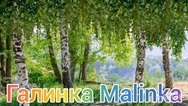 Колесниковы /Позор и унижение на Днюхе/Обзор Влогов /7-Я Колесниковых /Деревенский дневник /