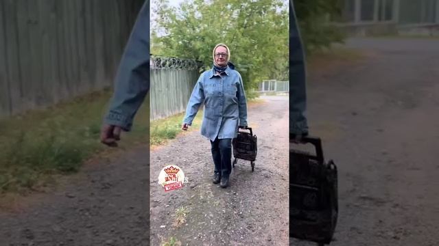 Сумка тележка видео обзор купить можно по ссылке в описании смотреть онлайн