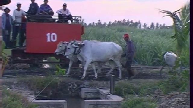 Steam in Java 2004 Part 7 смотреть онлайн