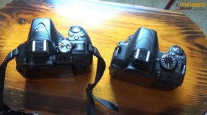 Сравнение зеркалок Nikon d3100 vs d5300