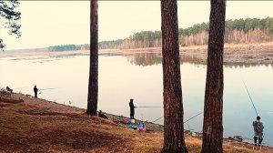 Фидерная ловля плотвы на реке Чусовая весной