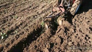 Японский мини трактор Yanmar пашет самодельным плугом