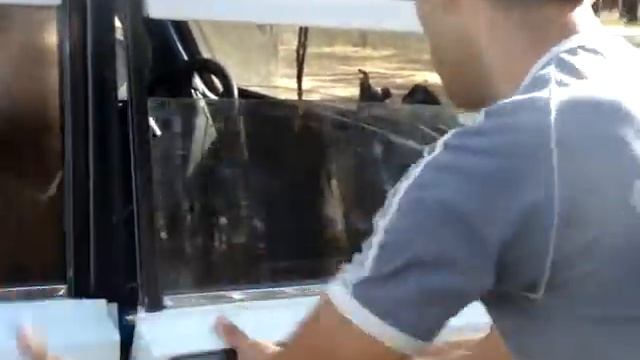 Алабай охраняет машину. Анзурат Майсун Туссе. смотреть онлайн