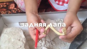 Что подарить ребенку? Игрушка DINO EXCAVATON, обзор. Раскопки ДИНОЗАВРОВ.