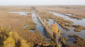 Урочище «Яузский водно-болотный комплекс»