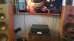 DALI Concept 10 и NAD C 368