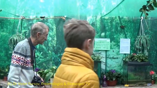Экскурсия Энтомолога: На выставке "ПЛАНЕТА БАБОЧЕК", Киев, Украина
