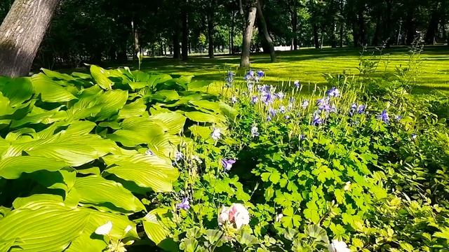 ⏰Поющий циферблат. ?Лариса Миллер #читаюстихи #видеоMoyaMechta смотреть онлайн