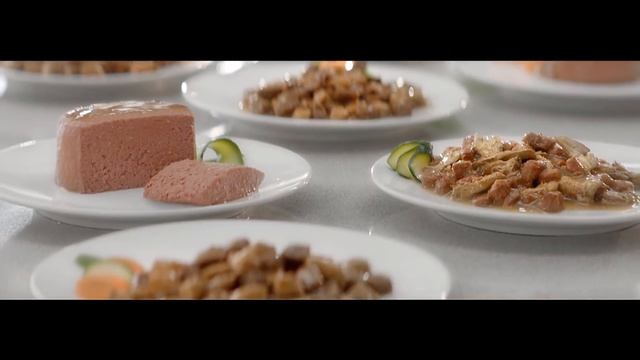 Purina Gourmet ru смотреть онлайн