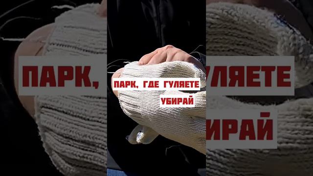 Мир. Труд. Май. За собачкой убирай.