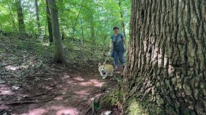 Парк Ijams Crag. Ноксвиль Теннесси США