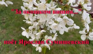 За окошком вишня...