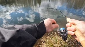 Кубок «Веребково». Ловля прудовой форели.