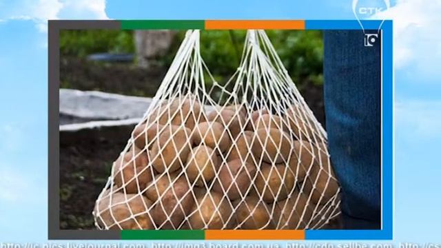 Товаровед (17.09.14.) Авоська смотреть онлайн