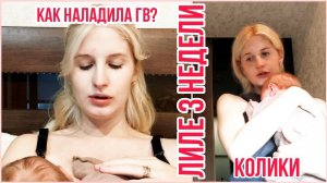 КОЛИКИ ◈ КАК УЙТИ ОТ СМЕСИ ◈ ТОЛЬКО ГВ ◈ 3 НЕДЕЛИ НОВОРОЖДЕННОМУ