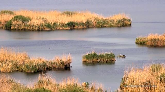 Биосферен резерват Сребърна - село Сребърна смотреть онлайн