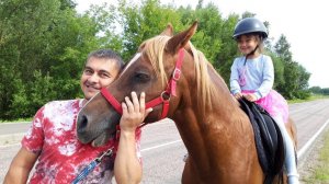 СБЫЛАСЬ МЕЧТА АРАБСКИЙ ЖЕРЕБЕЦ НИЗАМ