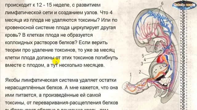 Грибница. Гидра. Паразит внутри нас 1 серия смотреть онлайн