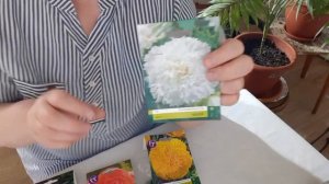 Покупка рассады клубневой бегонии в Fix Price